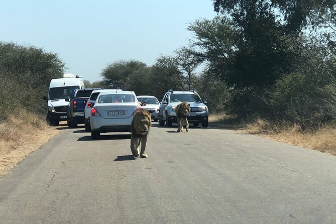Kruger National Park Full-Day Tour - Restrictions and Guidelines