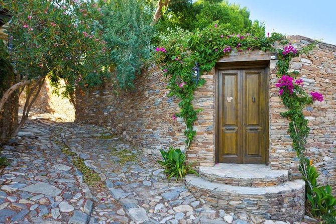 Kusadasi Port to Ephesus, Terrace Houses, Selcuk Museum, Temple of Artemis - Pricing and Payment
