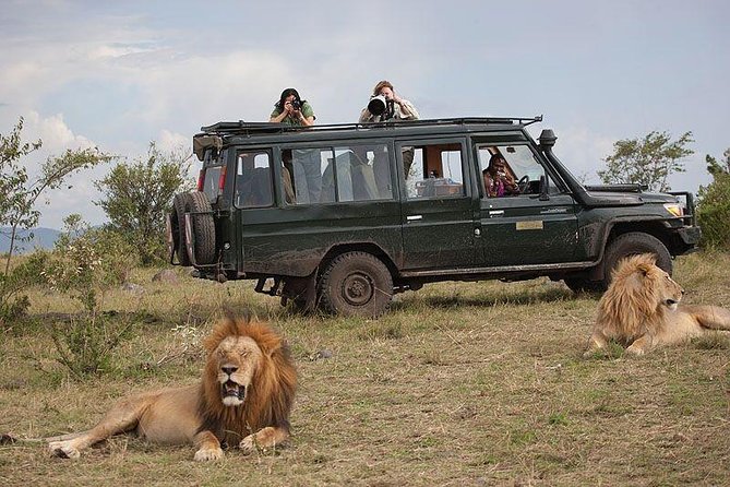 Lake Manyara National Park Full-day Tour - Cancellation Policy Details