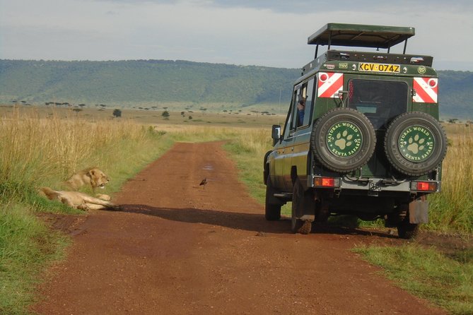Lake Nakuru, Naivasha & Masai Mara 4 Days Private Jeep Safari - Practical Information and Logistics