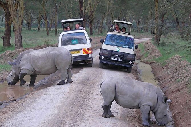 Lake Nakuru National Park Wildlife Private Day Tour From Nairobi - Additional Information
