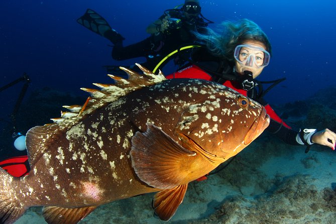 Learn to Dive PADI Open Water Diver Course - Ideal for Beginners