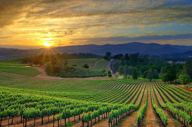 Lebanon Wine Tasting Tour From Beirut - Frequently Asked Questions
