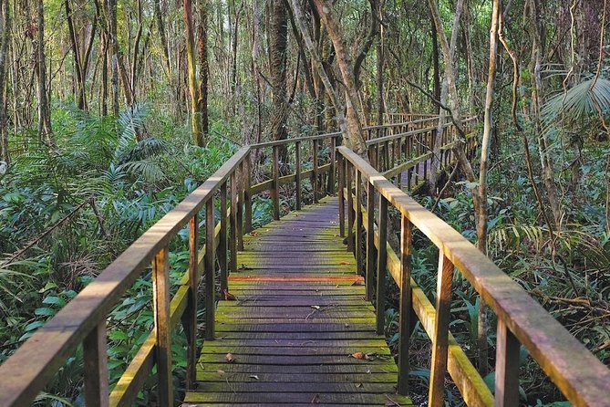 Lekki Conservation Center Extraordinary Tour - Cancellation Policy