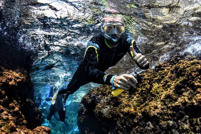 LEstartit: Snorkeling in the Medes Islands - Additional Info and Directions