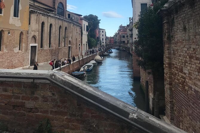 Lets Find Out Animals! Venice Walking Game Tours for Kids and Families - The Sum Up