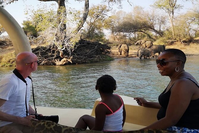 Lion King of Victoria Falls Sunset Cruise on The Zambezi River - The Sum Up
