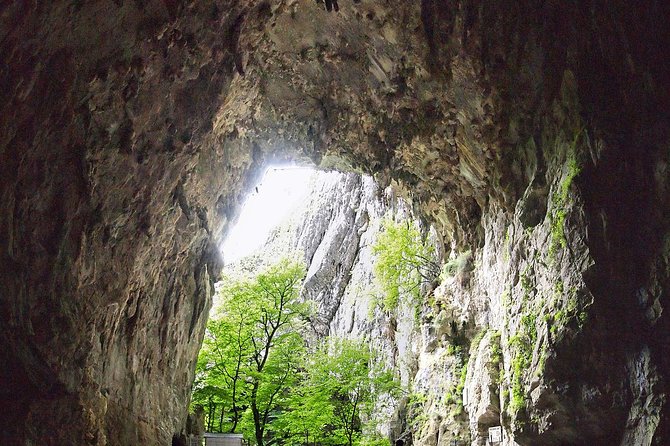 Lipica Stud Farm and Skocjan Caves Half Day Trip From Ljubljana - The Sum Up