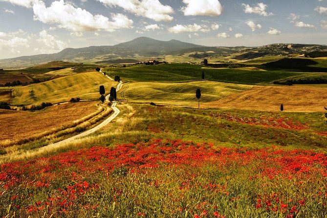 Livorno Port ShorExcursion: Montalcino Pienza Tuscany Wine&Cheese - The Sum Up