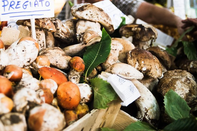 Local Market Visit and Dining Experience at a Locals Home in Chieti - Pricing and Booking