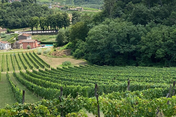Lucca City Tour and Pisa Tower + Wine Tasting From La Spezia Port - Cancellation Policy Information