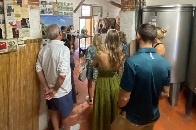 Lucca City Tour and Pisa Tower With Winetasting From Livorno Port - Cancellation and Weather Policies