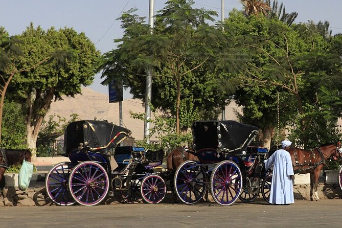 Luxor City Horse Carriage Tour: Dine and Discover - The Sum Up