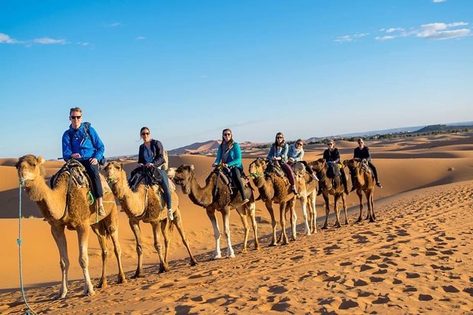 Luxury Majestic Morocco Private 14 Day Tour - Personalized Activities