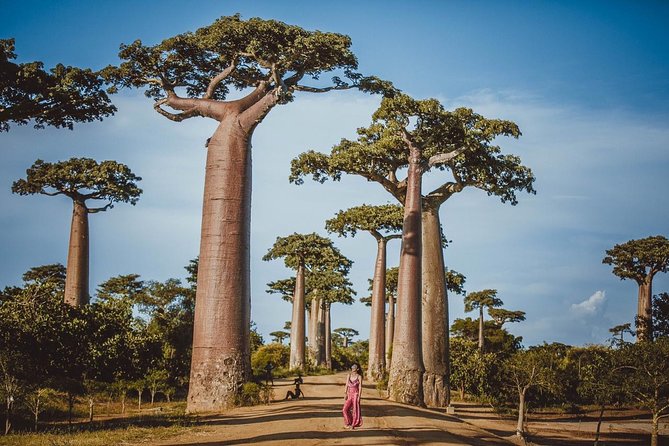 Madagascar Wildlife Tour 14D/13N - Pricing and Reviews