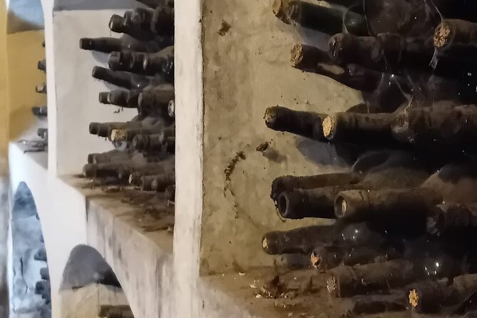 Madrid Winery Tasting Tour With Lunch - Directions and Guidelines