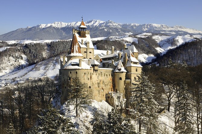 Magical Christmas Walk in Bran - Festive Decorations in Bran