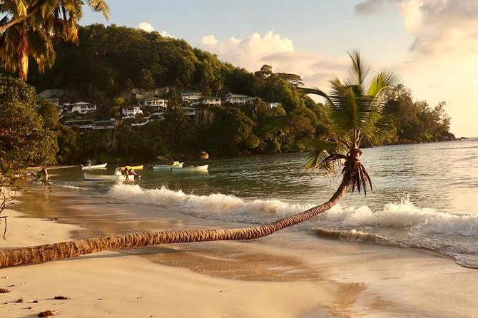 Mahe Private Full Day Tour - Reviews