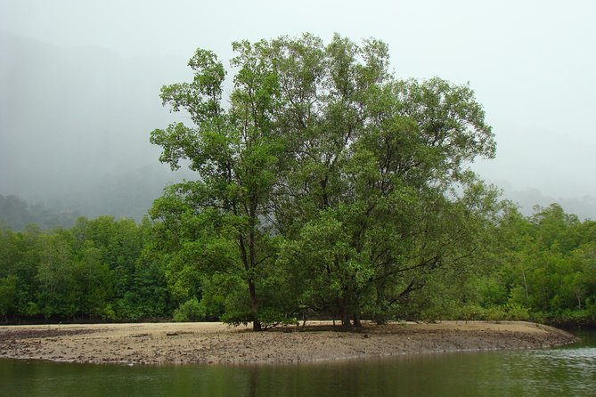 Mangrove River Cruise and Snorkeling Tour From Langkawi - Meeting Details