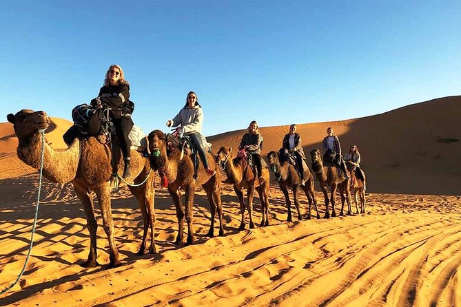 Marrakech Saharan Splendor 2 Days Desert Tour From Fes - Transportation and Guides
