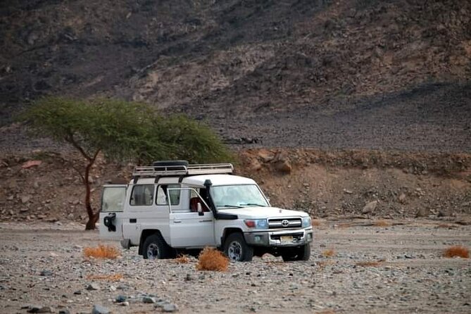 Marsa Alam Super Safari Quad, Jeep, Camel and Party With Dinner - Pricing and Reservation Information