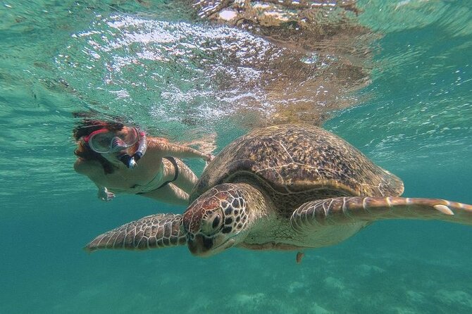 Marsa Mubarak Sea Snorkeling Boat Trip From Marsa Alam - Customer Reviews
