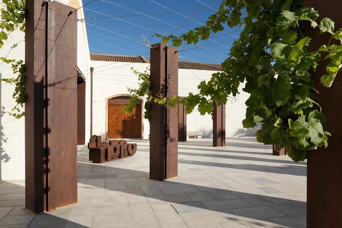 Marsala Wine Tasting in Historic Winery - Alcoholic Beverages and Cancellation Policy