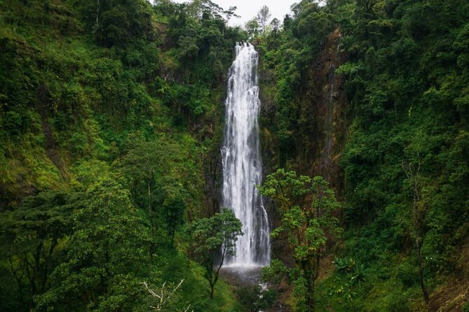 Materuni Waterfall Hike & Coffee Tour - Customer Reviews