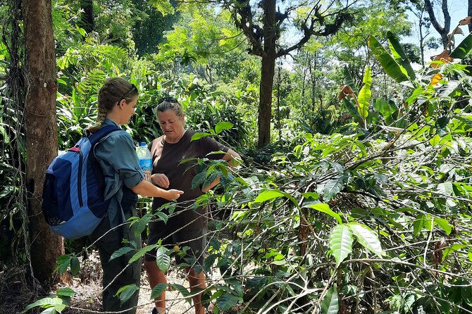 Materuni Waterfalls and Coffee Tour - What To Expect