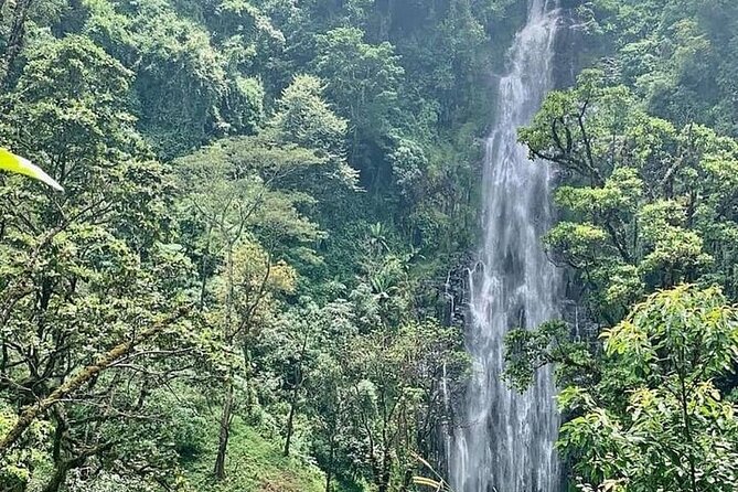 Materuni Waterfalls, Kikuletwa Chemka Hot Springs, Coffee Tour - Good To Know