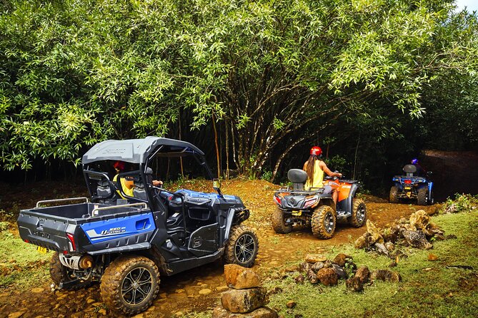 Mauritius Adventure Tour - Traveler Participation