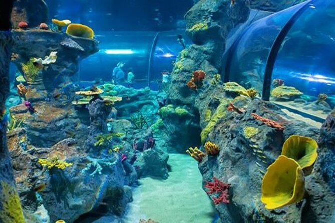 Mauritius Odysseo Oceanarium in Port Louis - Wheelchair Accessibility