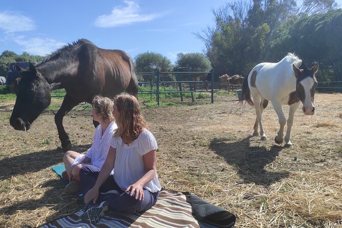 Meditation Activity: Mindfulness With Horses in Zahora - Meeting Point