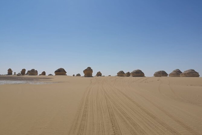Meditation and Camping in Fayoum Oasis 2-Days Activity - Additional Details