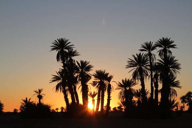 Méhari Trip in the Desert From M'hamid - Inclusions