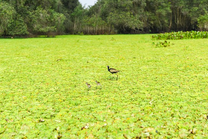 Mekong Adventure: 3 Days From Delta Optional Exit to Phnom Penh - Tour Overview