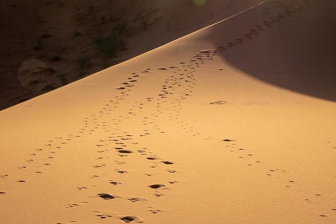 Merzouga Desert Private Tour From Marrakech 3 Days and 2 Nights - Tour Itinerary