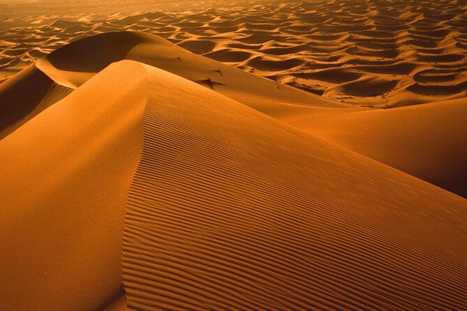 Merzouga Sahara Desert 2 Days Trip From Ouarzazate. - How to Get There