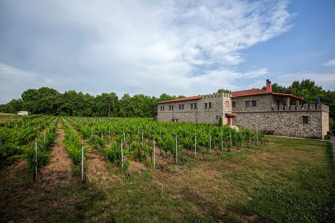 Meteora Private Guided Wine Tasting Experience From Kalampaka - Background