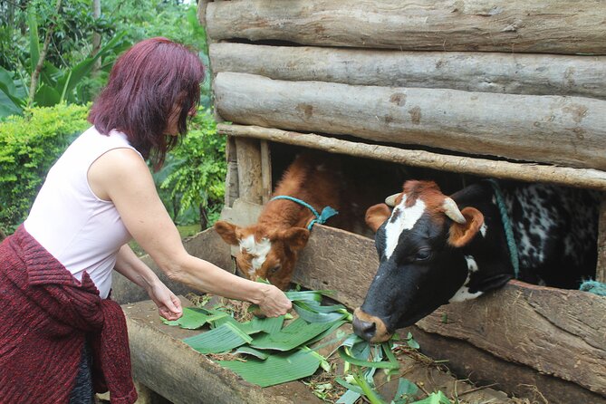 Microfinance Family Farm Tour - All Proceeds to Charity - Tour Inclusions