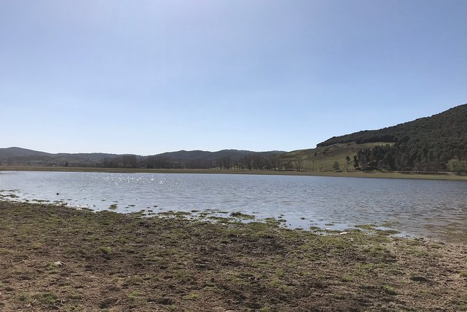 Middle Atlas , Cedar Forest and Azrou Day Trip From Fez - Tips for a Memorable Experience