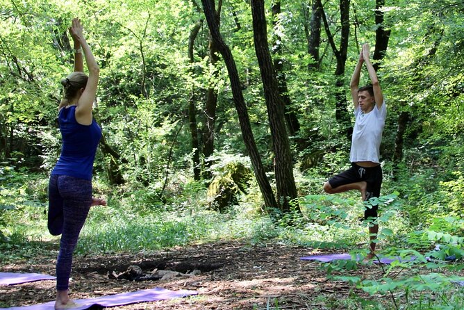 Mindful Yoga Retreat in Nature - Pricing and Cancellation Policy