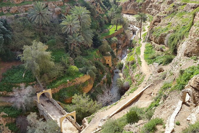 Monasteries of the Judean Desert Private Tour - Reviews