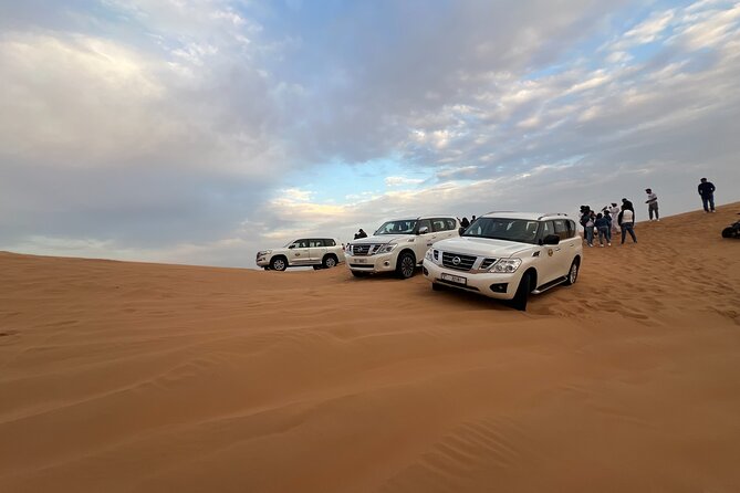 Morning Red Dune Desert Safari Camel Ride and Sandboarding - Reviews and Ratings