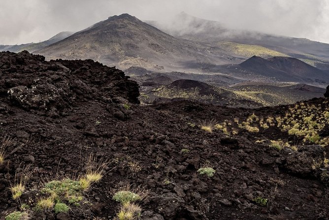 Mount Etna and Winery Private Tour From Messina - Booking and Confirmation Process