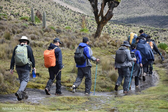 Mount Kenya Chogoria-Sirimon Route(5 Days) - Pricing and Customer Reviews