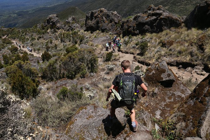 Mount Kilimanjaro Day Hike - Price