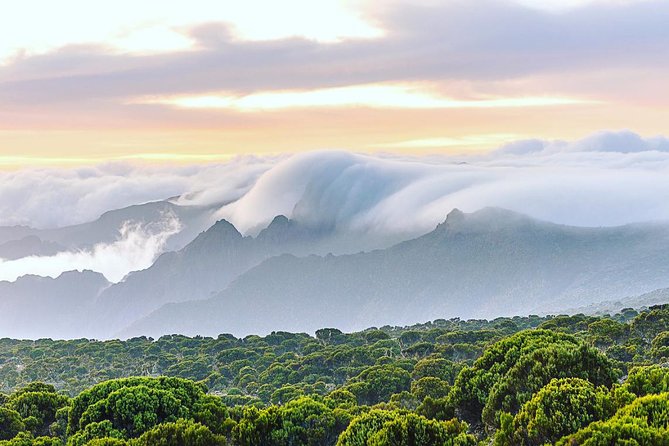 Mount Kilimanjaro via Umbwe Route 6 Days Climb - Frequently Asked Questions