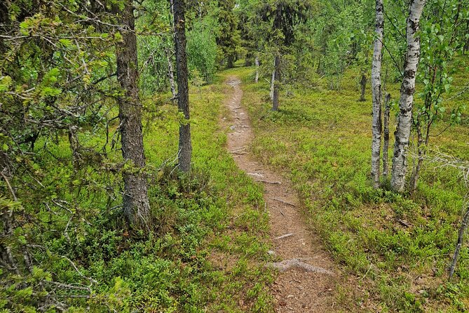 Mountainbike to the Top of Kiruna on an E-Bike - Pricing and Lowest Price Guarantee