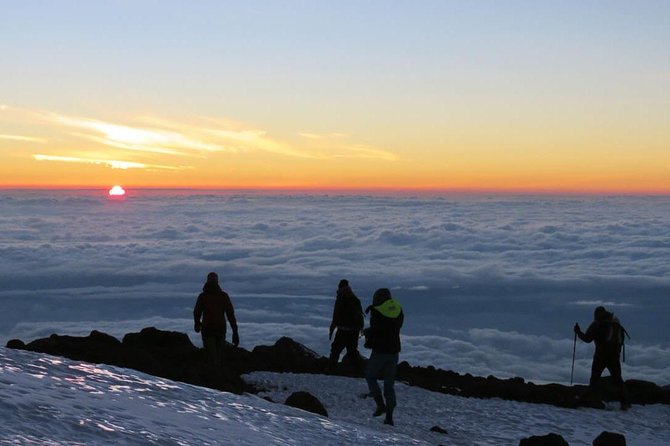 Mt Kilimanjaro Climbing; 7 Days Lemosho Route - Price and Booking Information